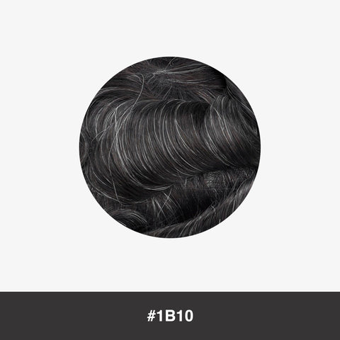 Color #1B10