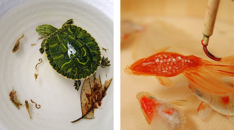 two images side by side of a turtle and a fish of 3d resin paintings