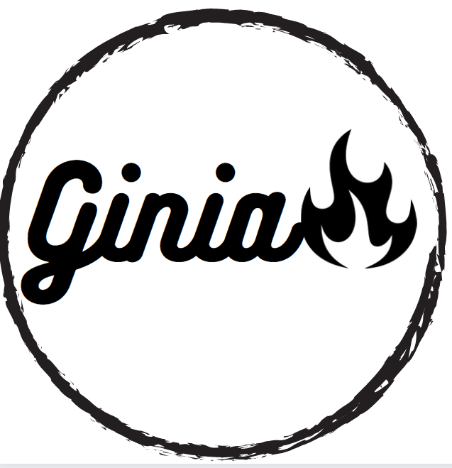 gadgets – Ginia