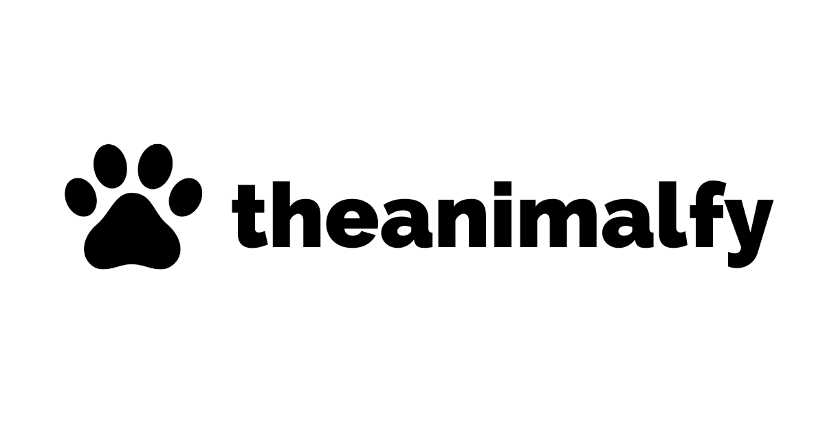 Theanimalfy.com