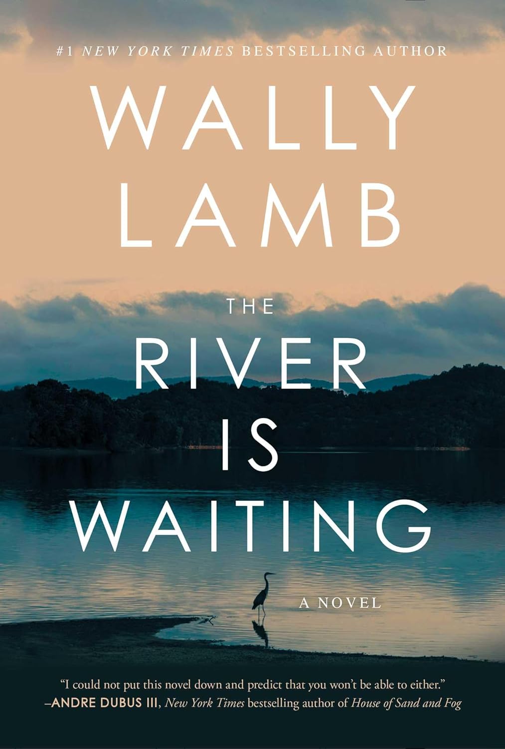 The River Is Waiting: A Novel - Pre-Order