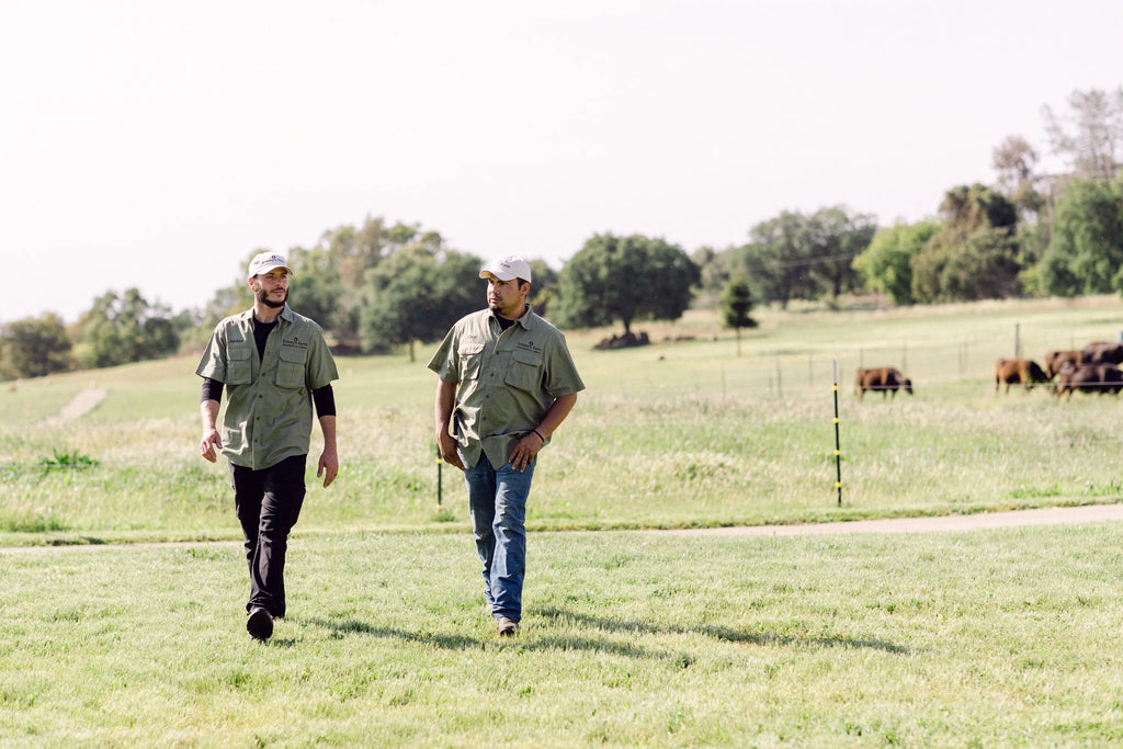 Two farmers from Sonny's Farm walking through cow pasture