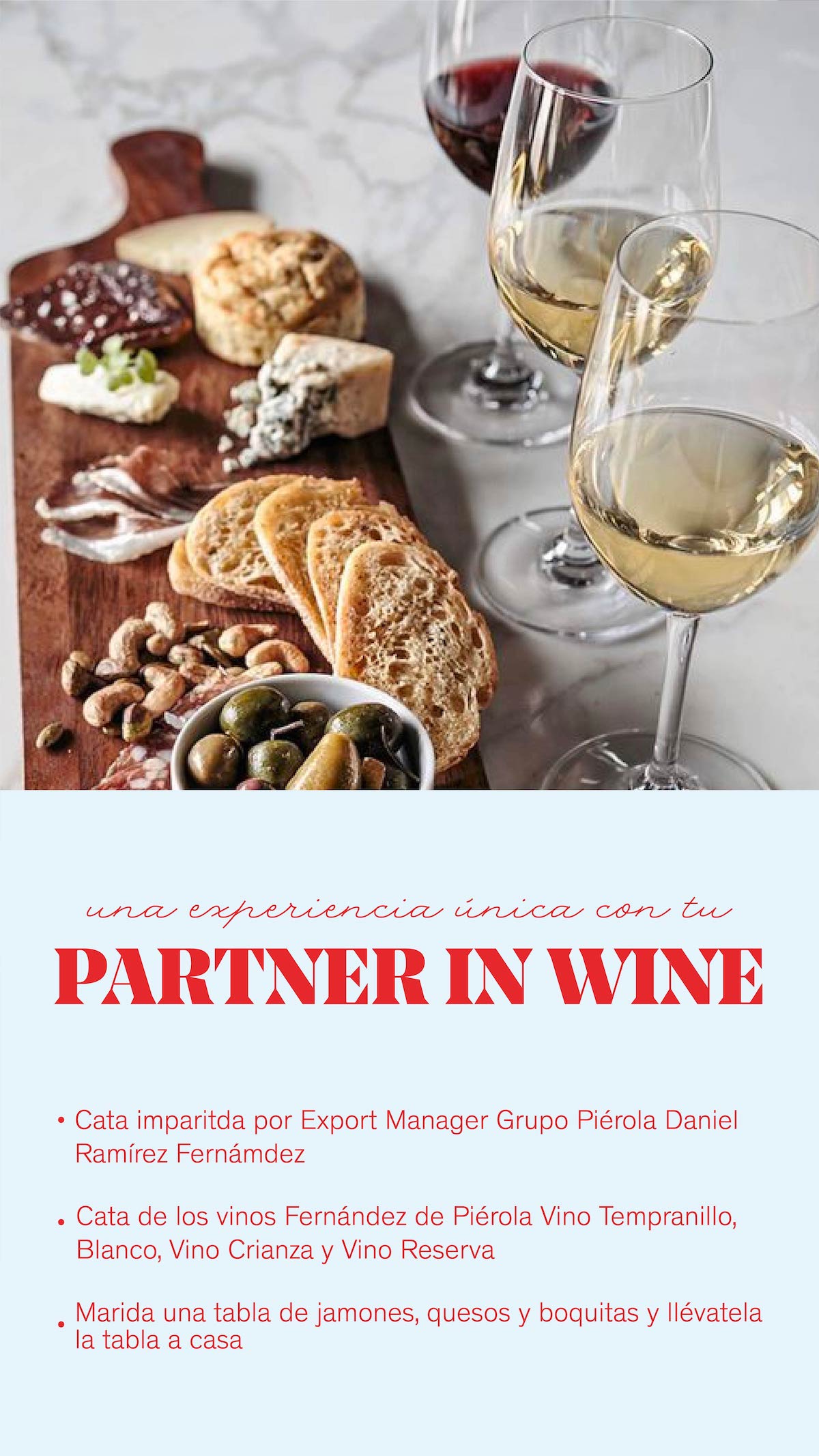 Cata de vinos Partner in wine