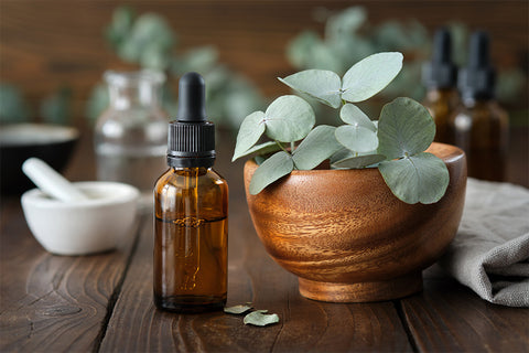 The Healing Powers of Eucalyptus Oil | Lèlior Blog Image