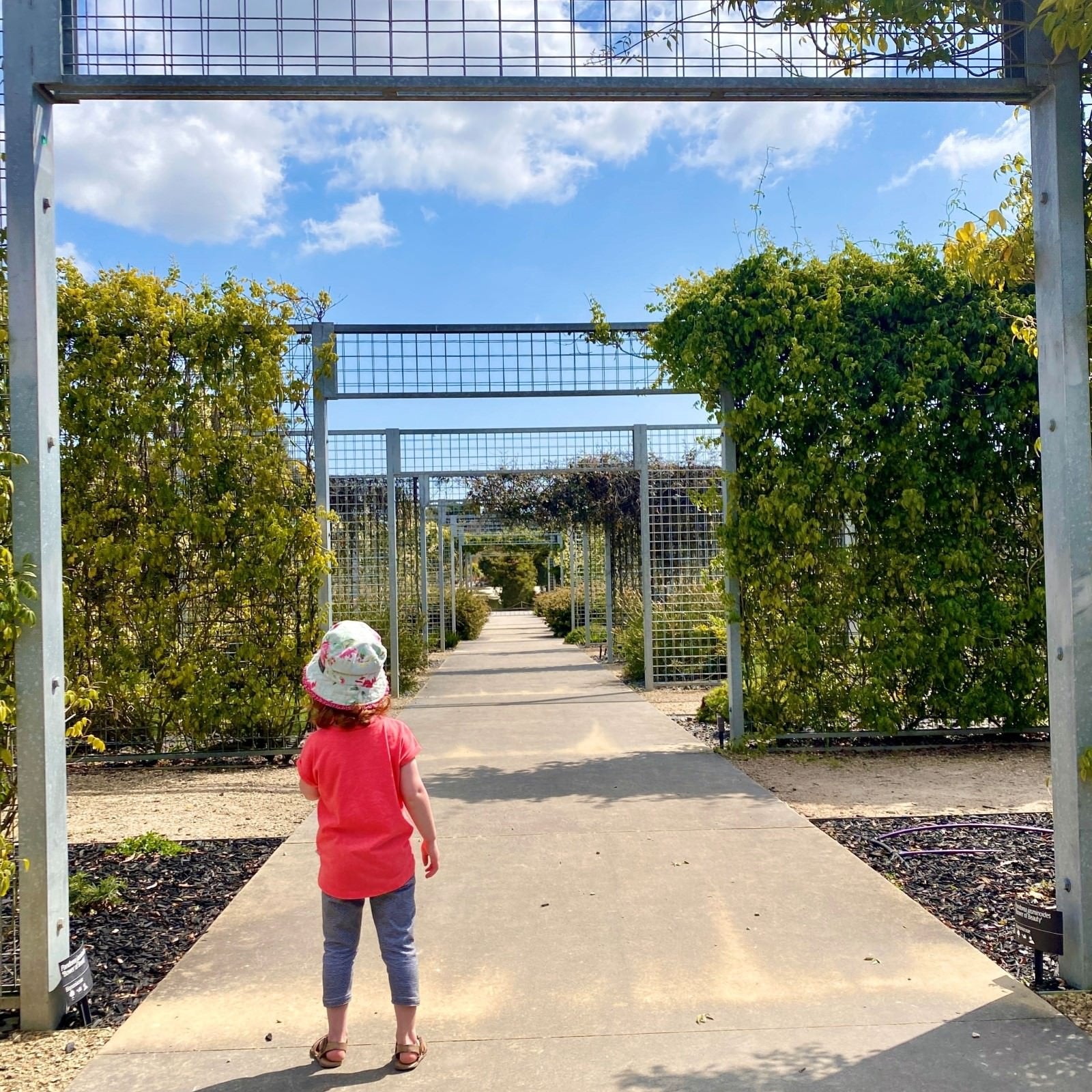 Cranbourne Botanic Gardens