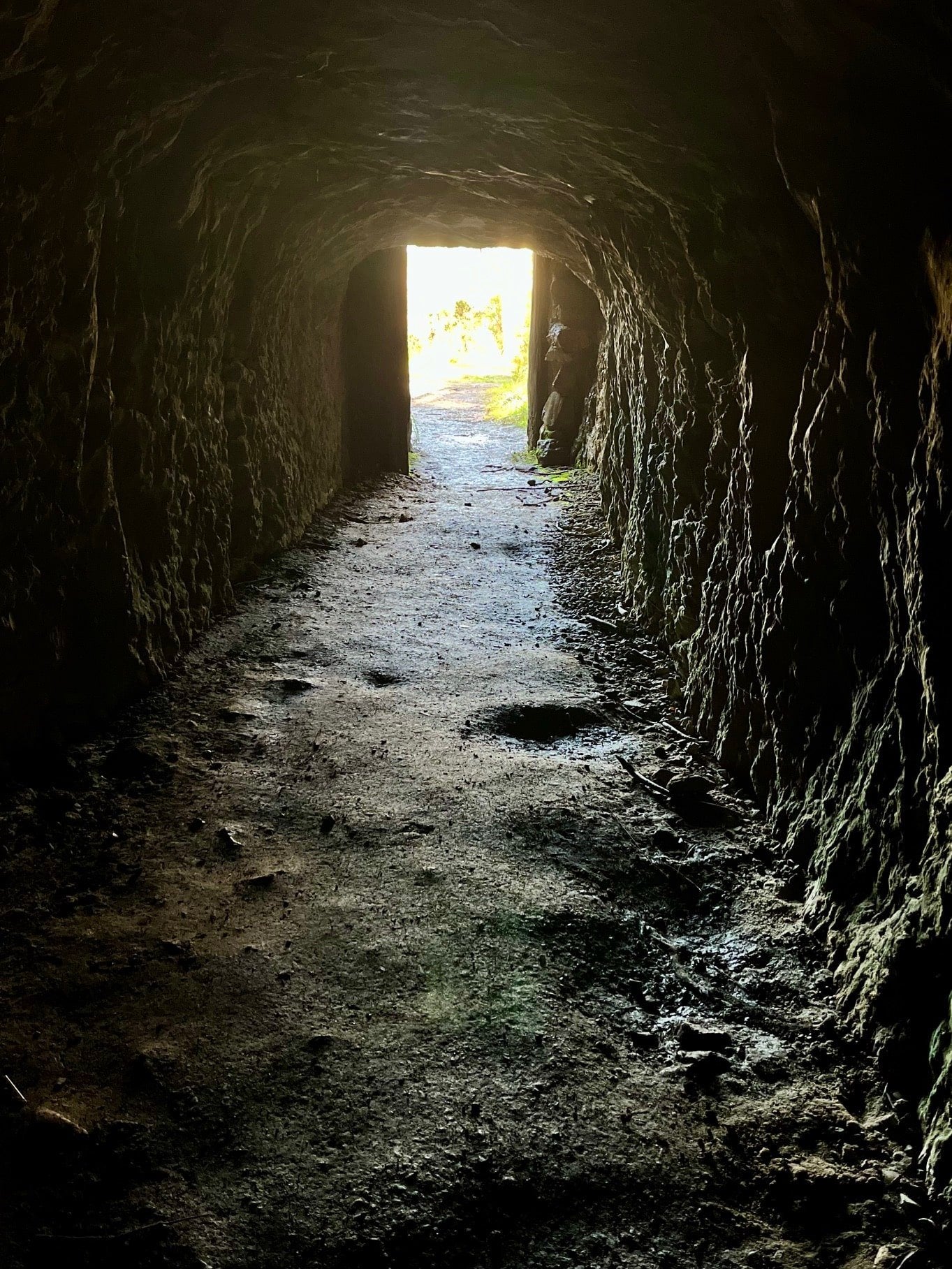 Fourth Hill Gold Memorial tunnel mine