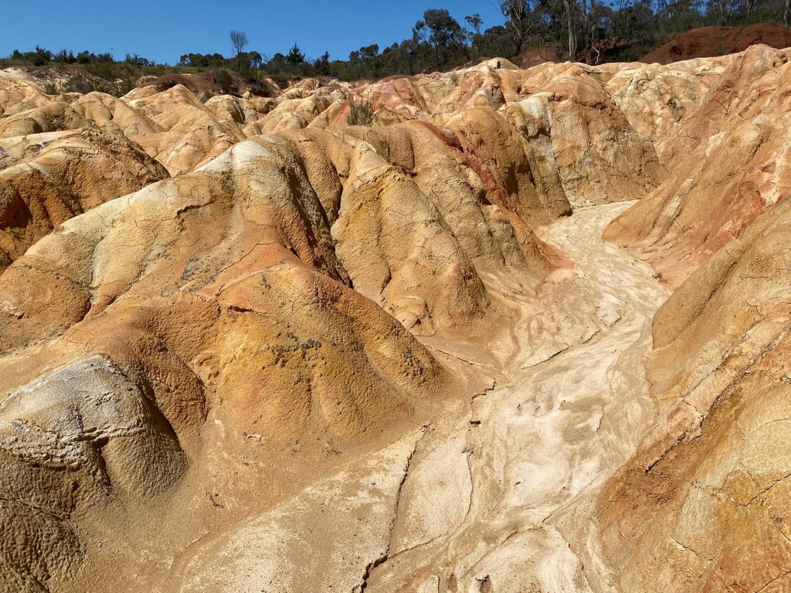 Pink Cliffs Heathcote geology reserve