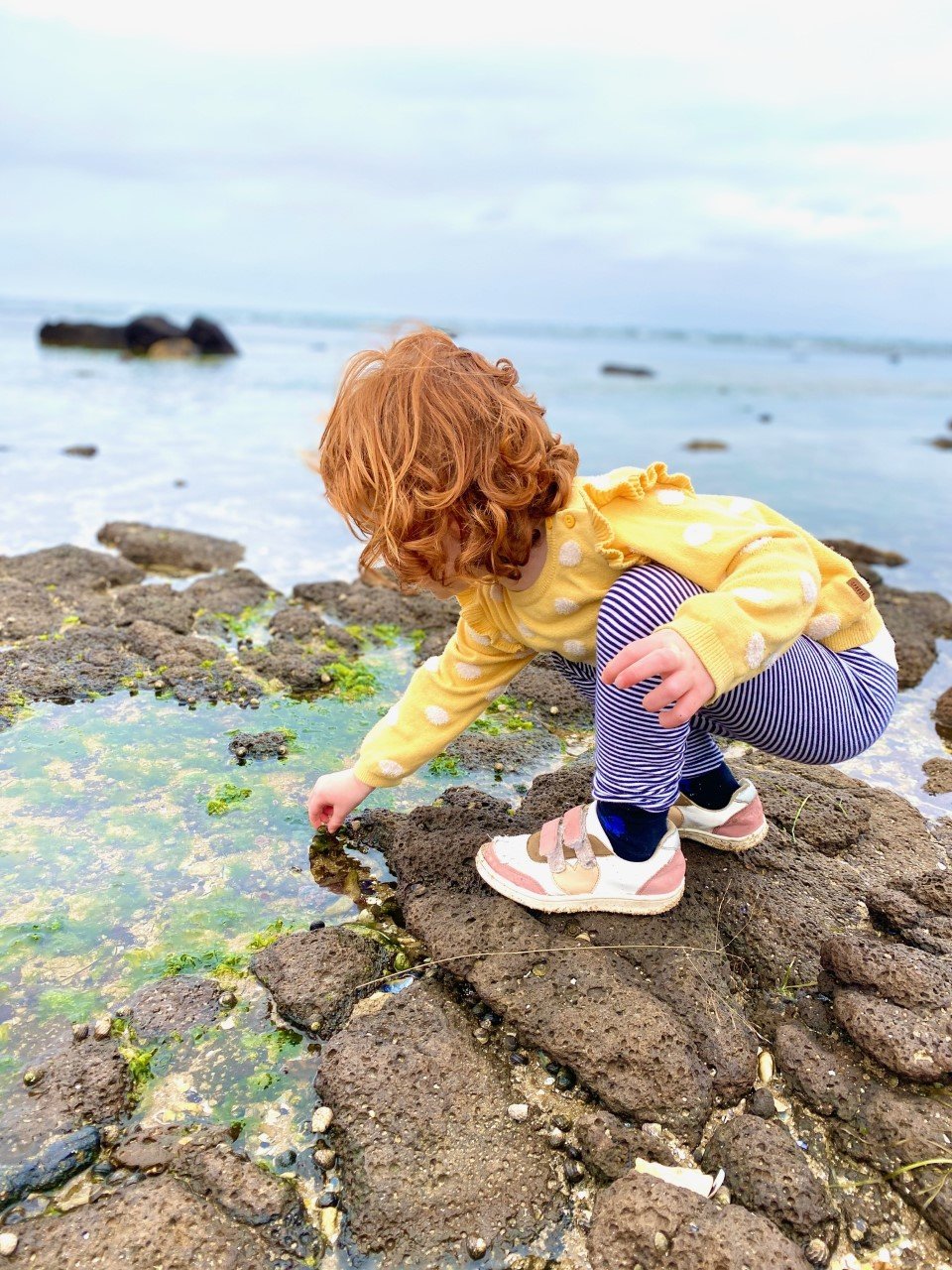 Girl looking rockpools near Melbourne