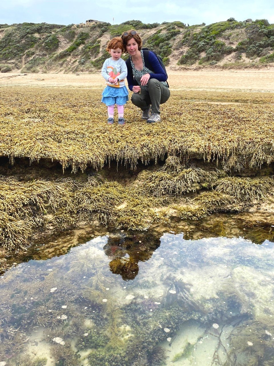 Point Lonsdale rockpools