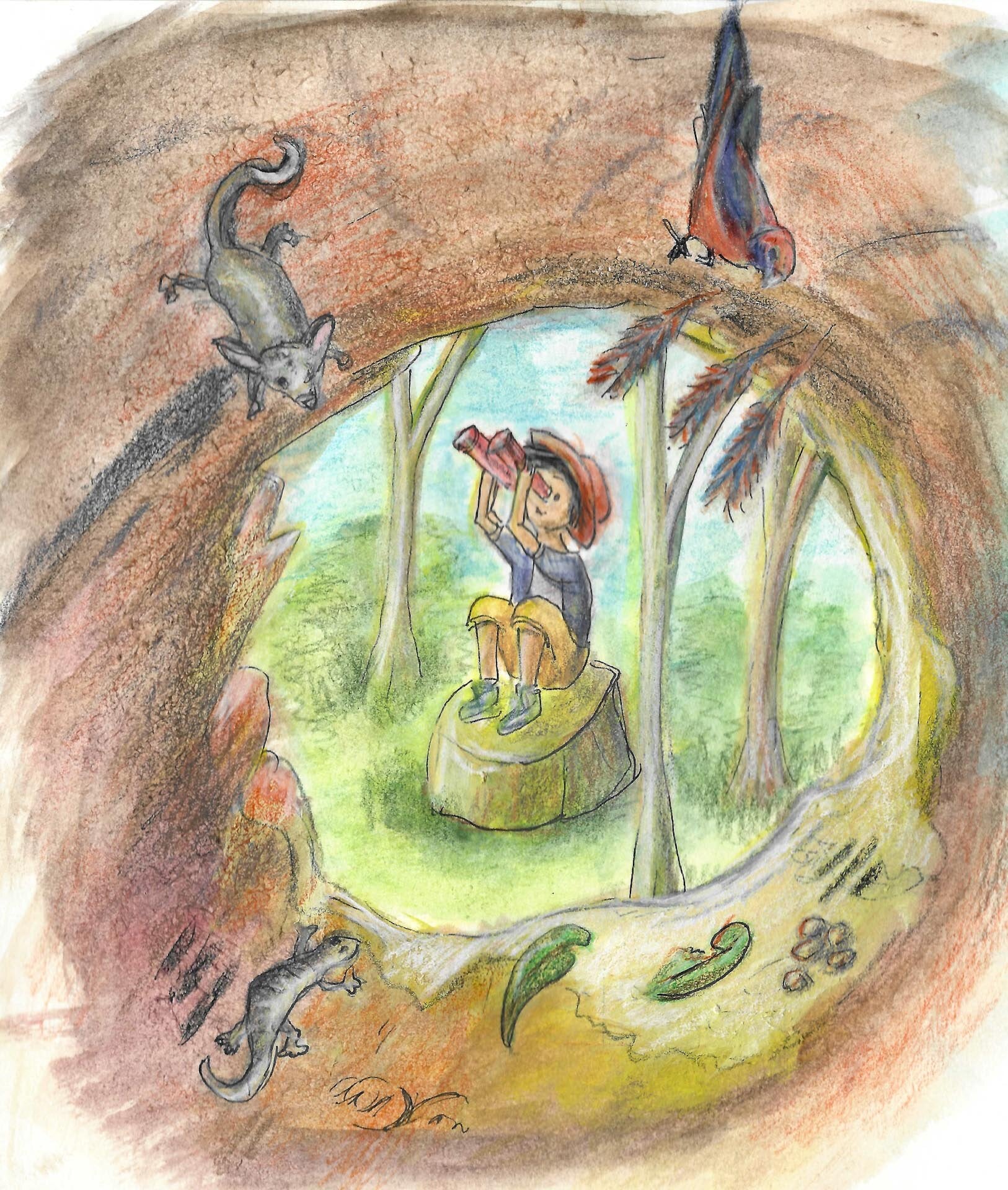 Gumnut Trails illustration boy through a hollow