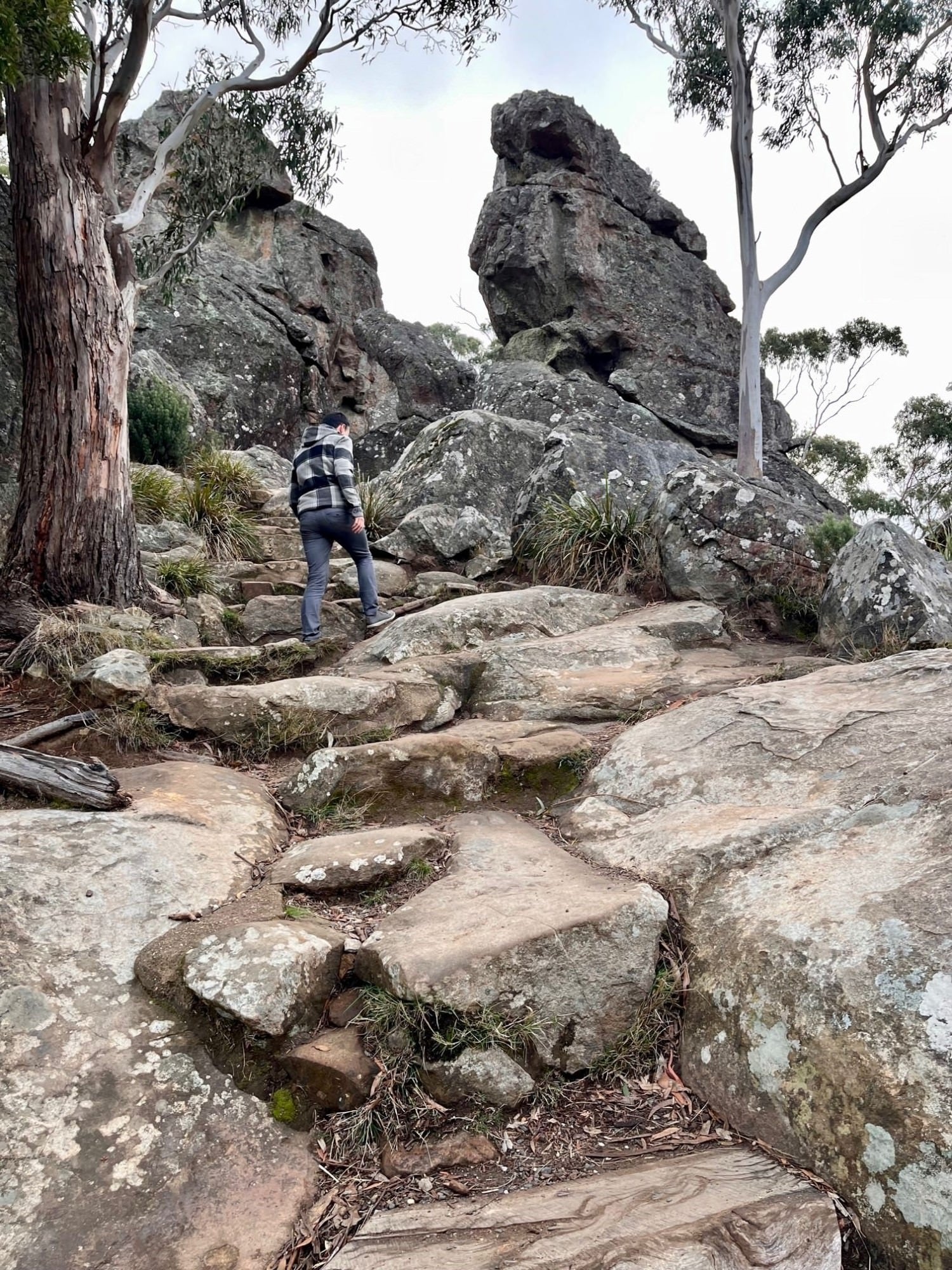 Hanging Rock walk