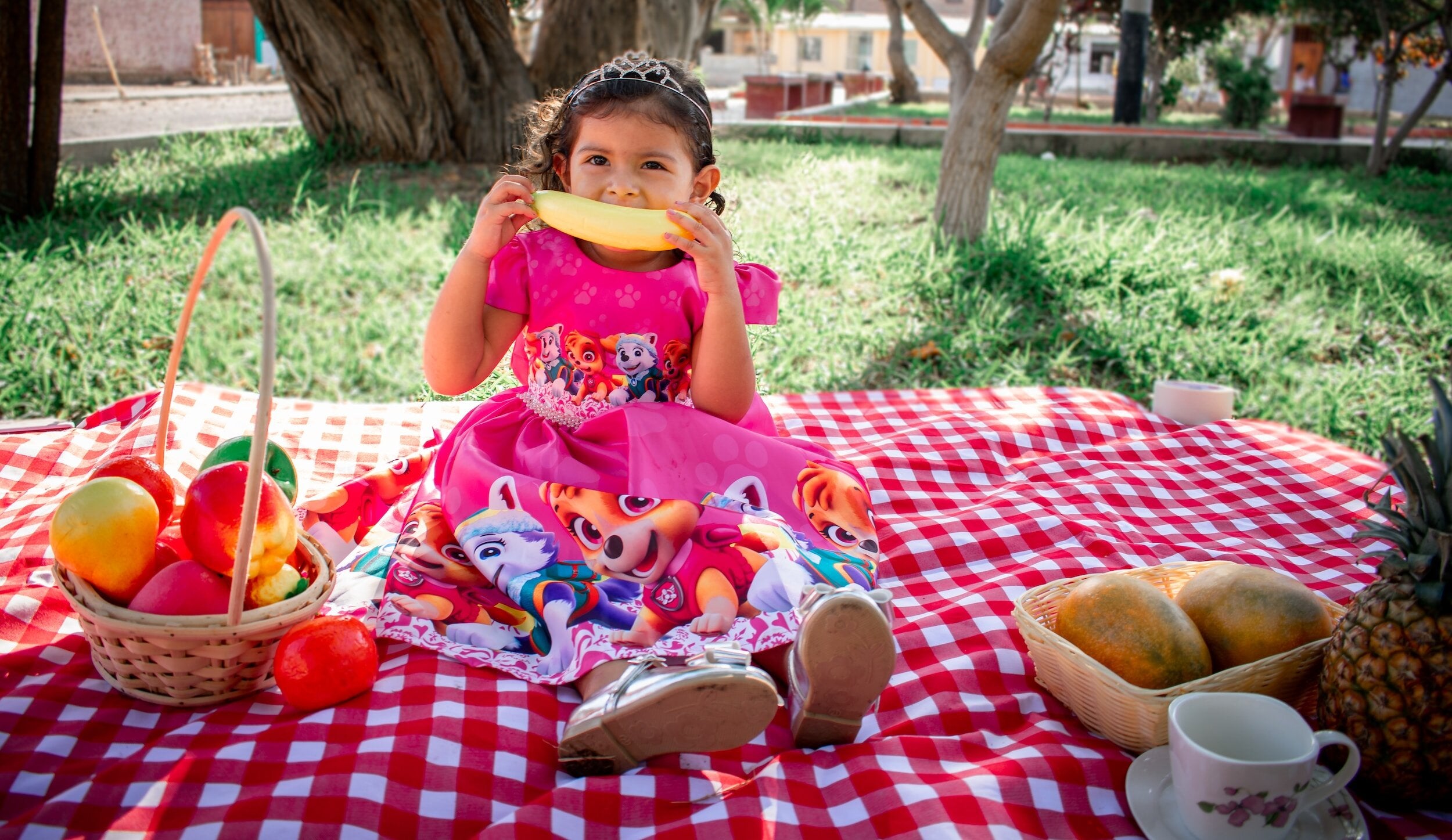 Girls sitting on a picnic rug eating fruit