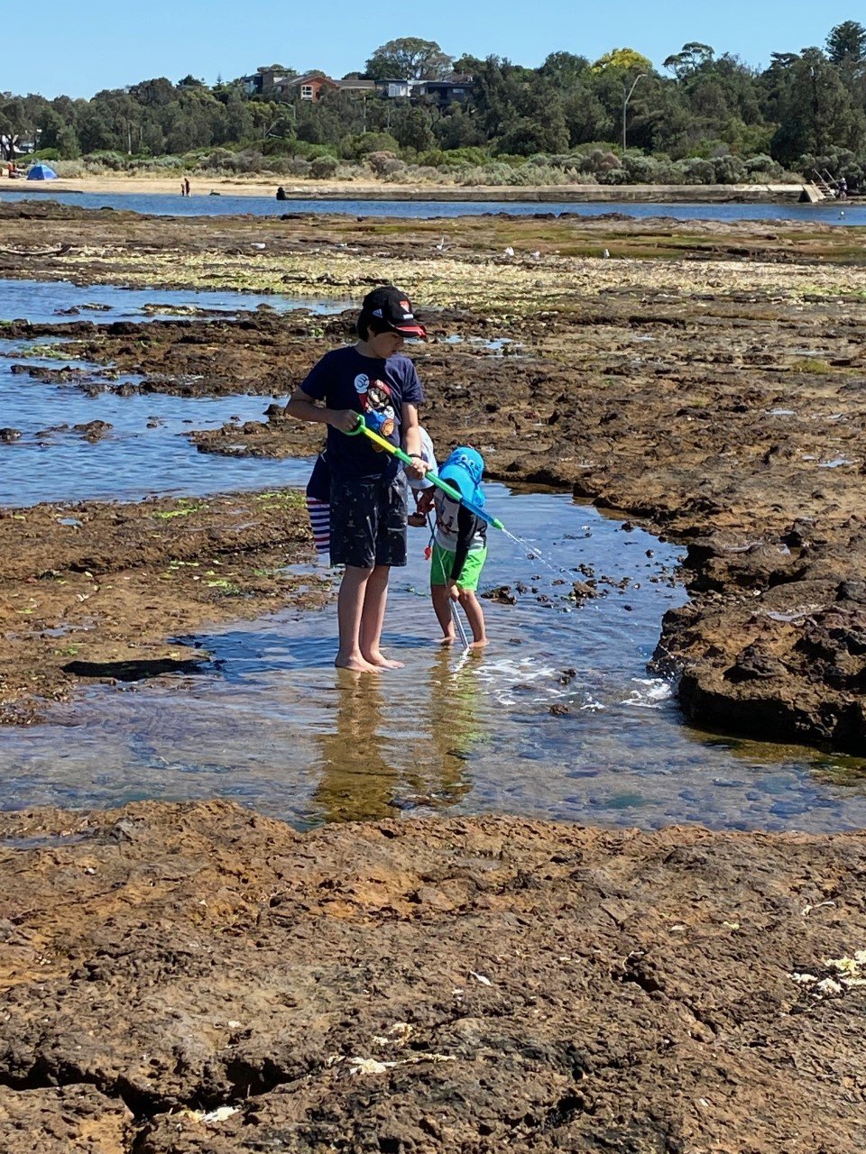 Ricketts Point rockpools kids playing