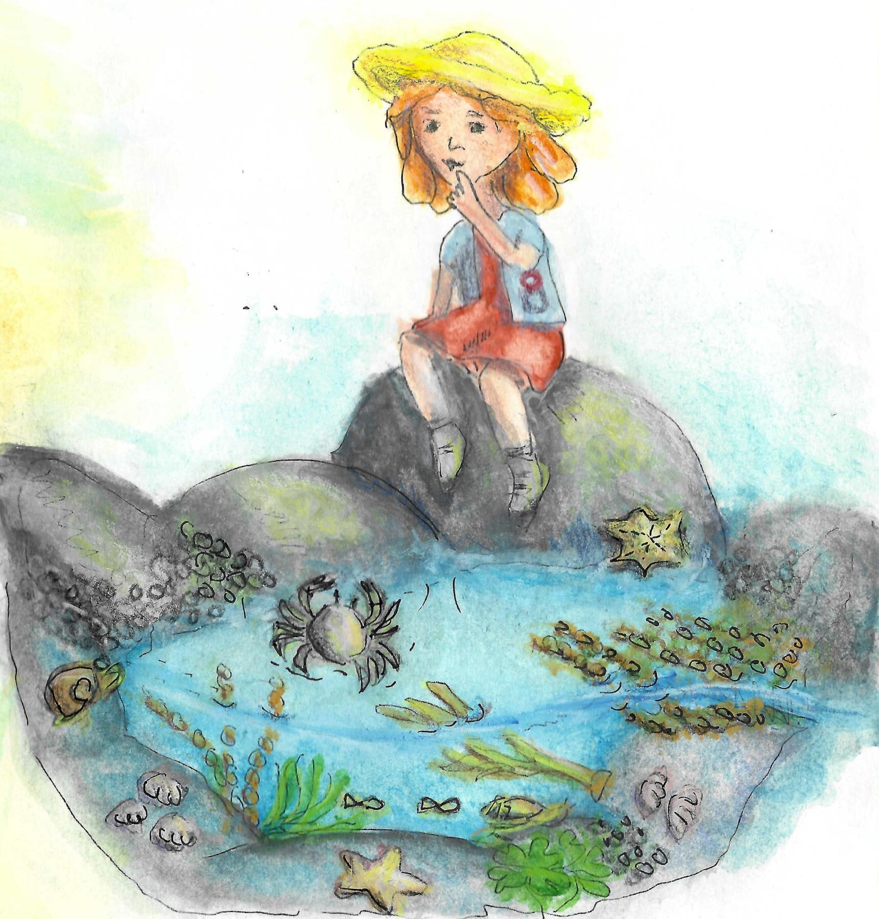Illustration of girl looking at a rockpool