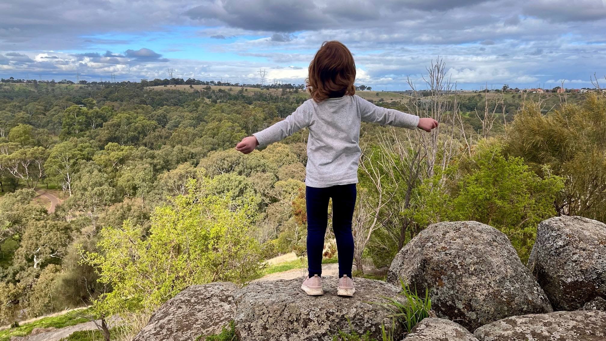 Standing at the top of Brimbank Park