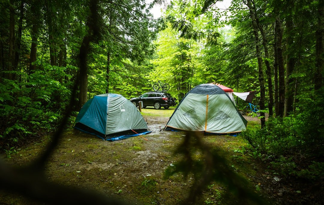 Tents in a lovely forest