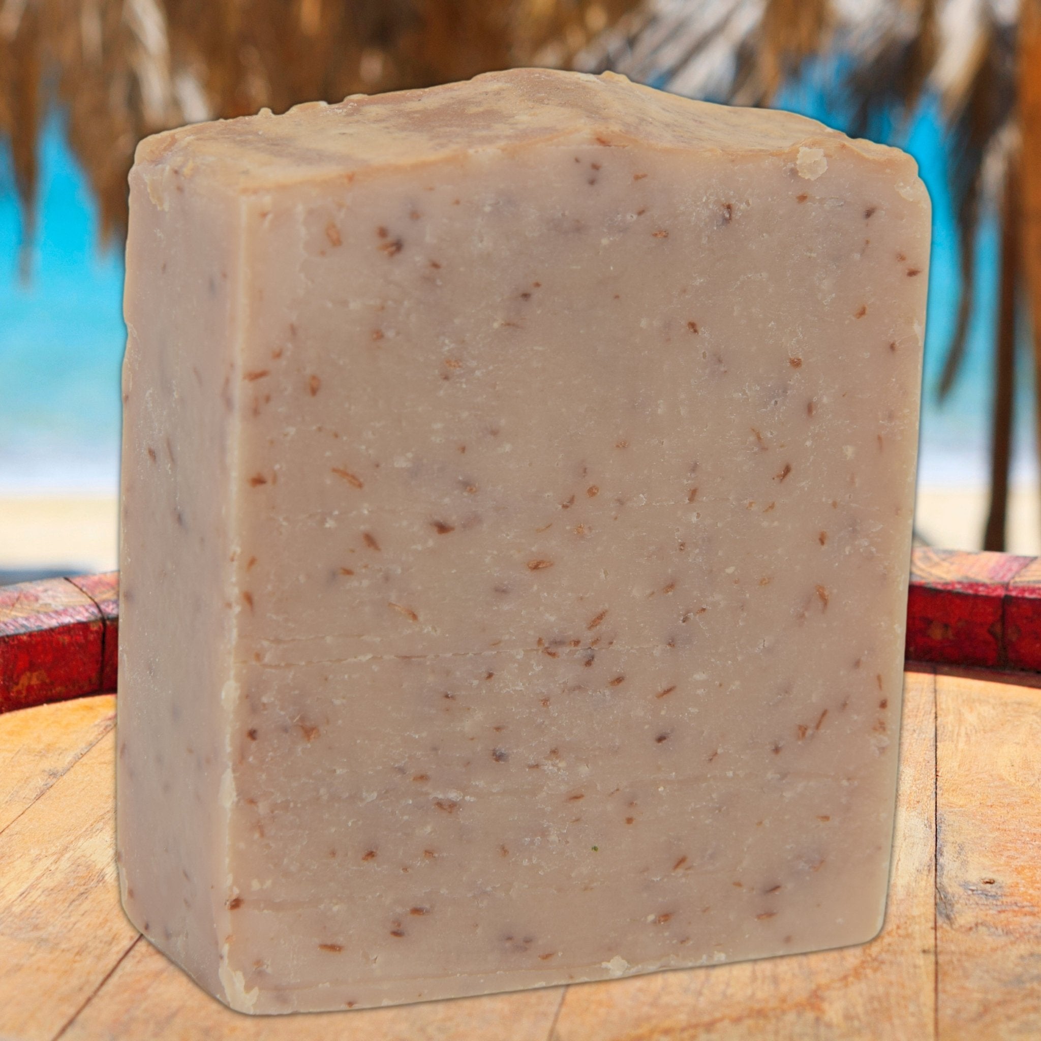 Coastal Coconut - BAR SOAP - Light Grit