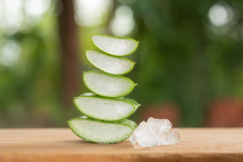 aloe vera shot