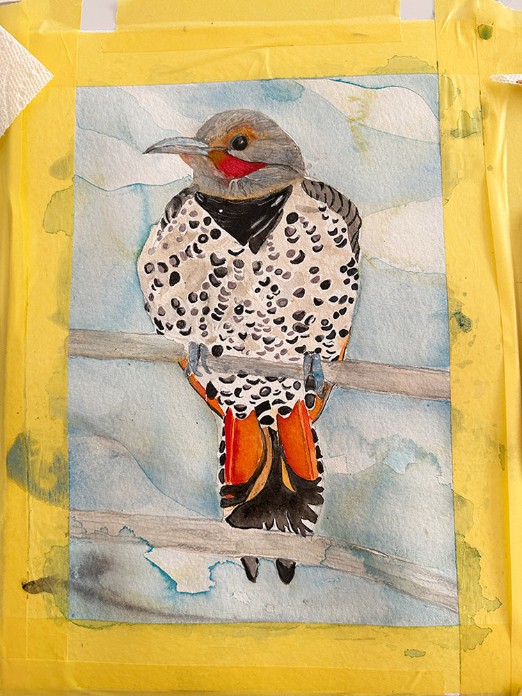 Watercolor painting of a northern flicker with yellow tape around the edges