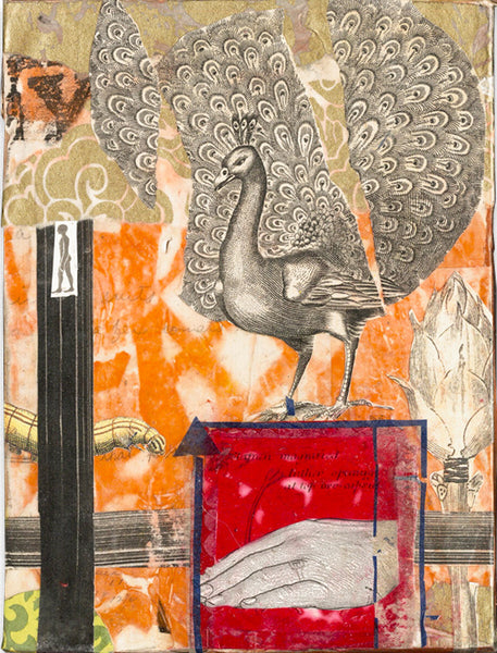 mixed media with peacock standing on red object with hand, background is orange and brown