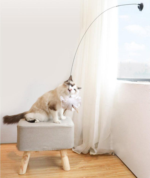 Interactive Bird Simulation Cat Toy – Paws and Purrz
