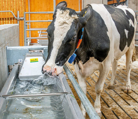 SUEVIA Flach Schwenktrog für Bodenmontage