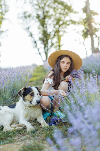 Mädchen und Hund in einer Blumenwiese
