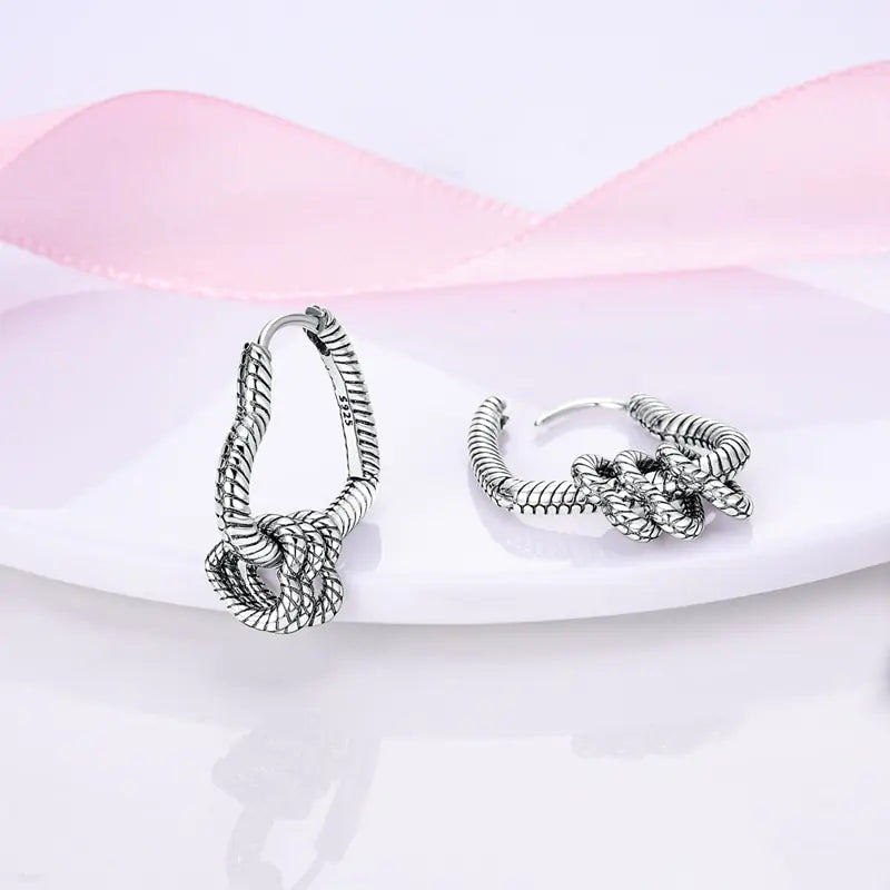 Charm Double Hoop Earrings