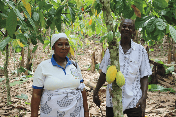 kessho Ecuador cacao beans farmers