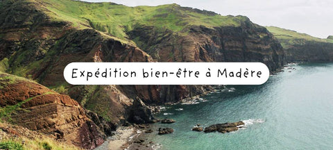 paysage_falaises_madere