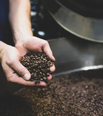 Culminate H - Nutrition & Optimization - Low Carcinogen Coffee
