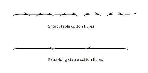 staple length cotton fibers