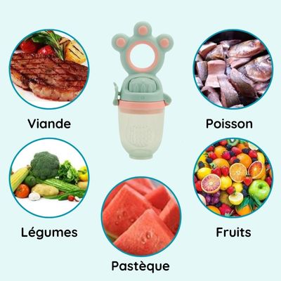 Tétine Grignoteuse Diversification Alimentaire - BabyFood - FTM00228 -  Sodishop