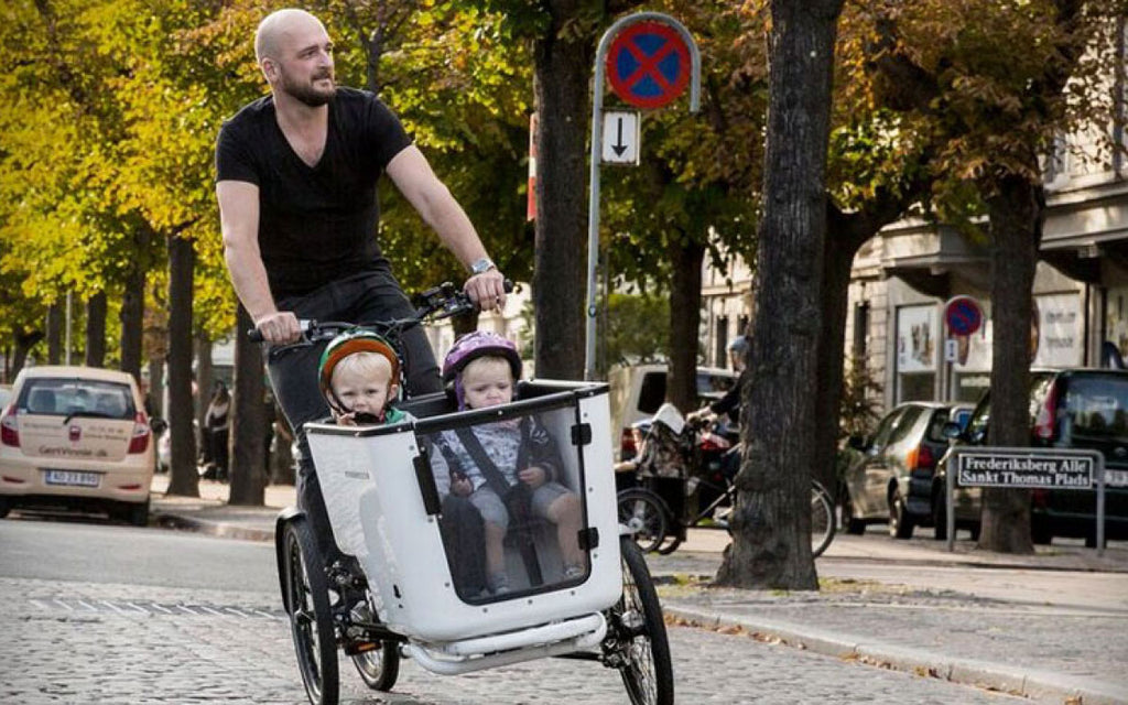 dutch delivery bike