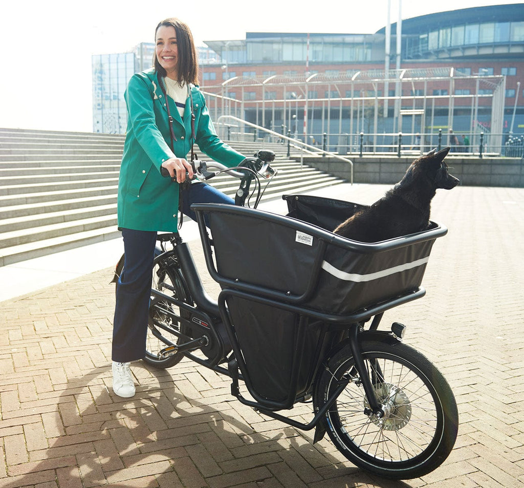 urban arrow bike