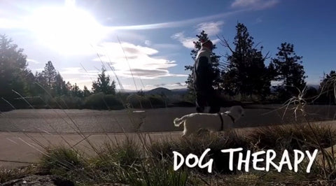 Dog Therapy with a Grill Mount and GoPro
