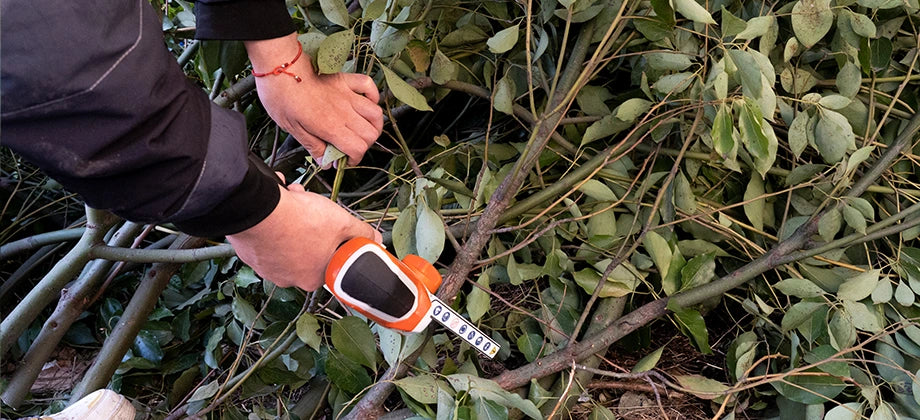 Garden pruning of cordless mini chainsaw