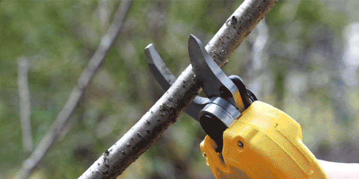 electric pruning shears cut branch