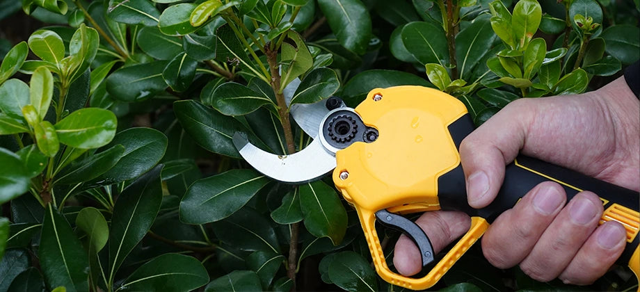 use of electric pruning shears