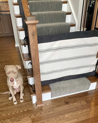 dog gate for staircase with banisters on two sides