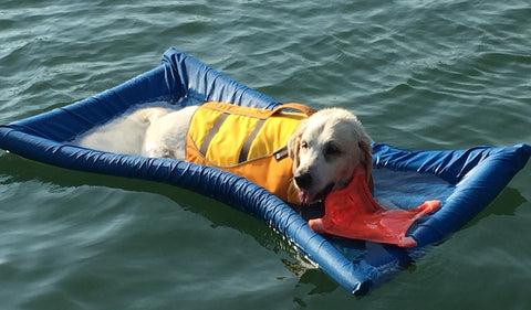 durable dog float