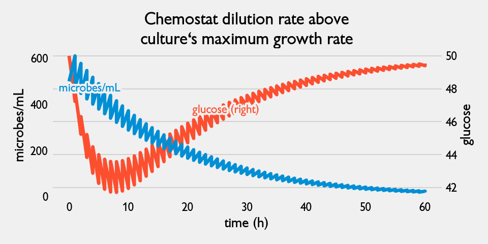 If the dilution rate in a chemostat is set too high, the culture can't keep up and dilutes out