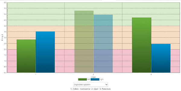 JW Digestive System   Zone Values in Joules: