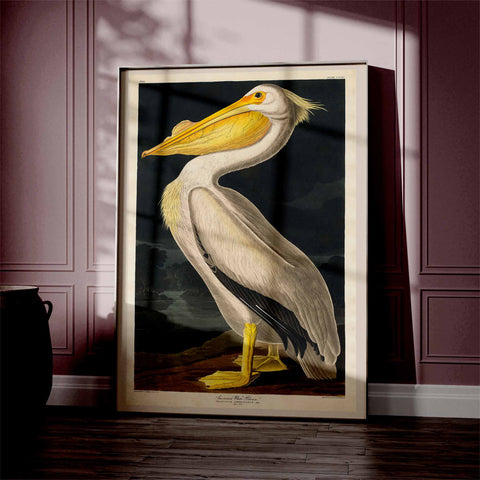 Beautiful Vintage Pelican print