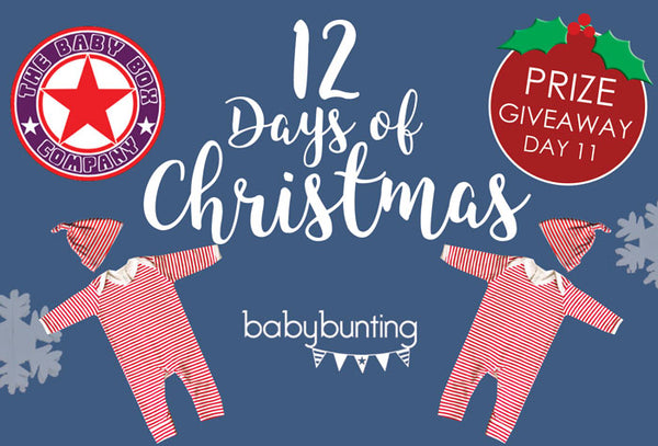 12 Days of Christmas Giveaway day 11