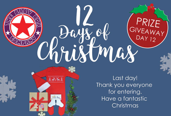 12 Days of Christmas Giveaway day 12