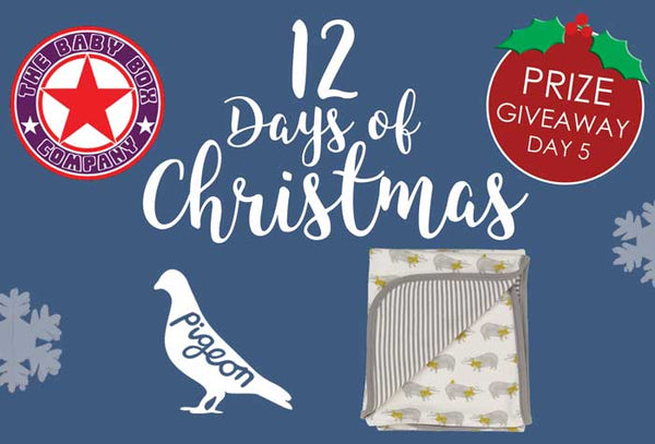 12 days of Christmas giveaway day 5