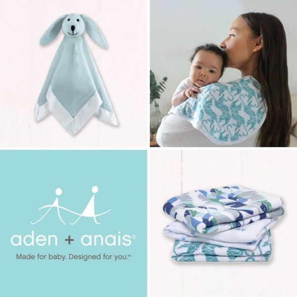 aden + anais blue baby gift set