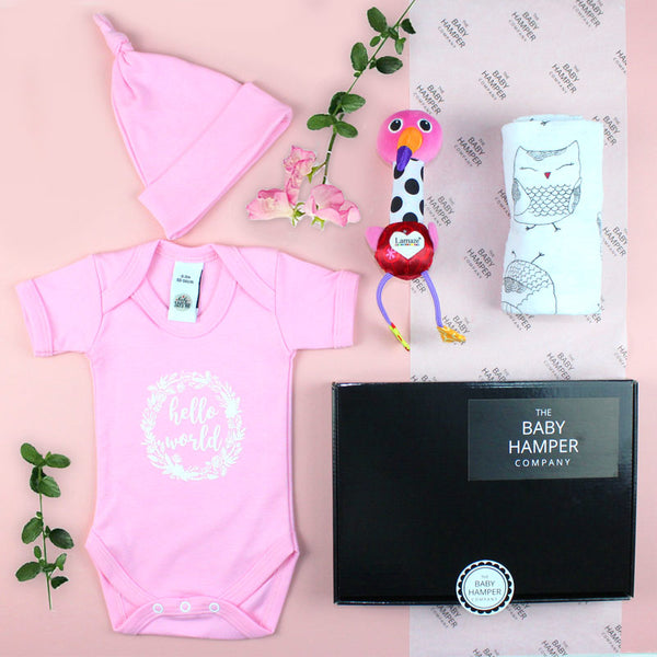 Baby girls letterbox gift hamper