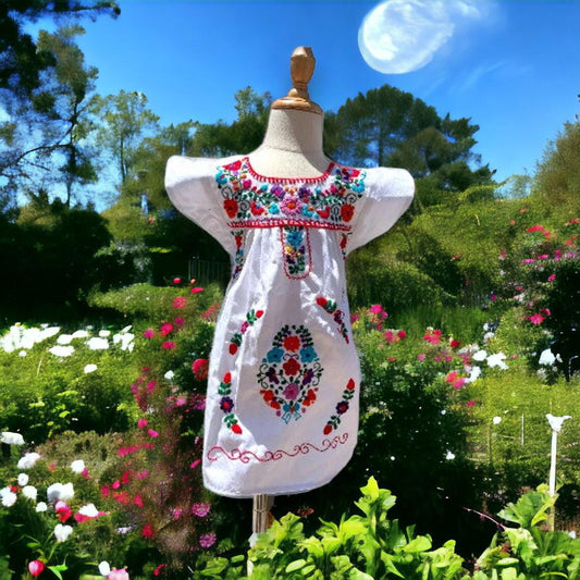Mexican Embroidered Dress  Traditional Puebla Clothing